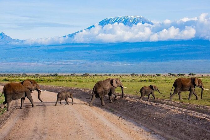 6 Days Group Multi Day Tour Masai Mara Lake Nakuru and Amboseli - A Full Day in Amboseli: Elephants, Lions, Giraffes, and Photo-Friendly Timing