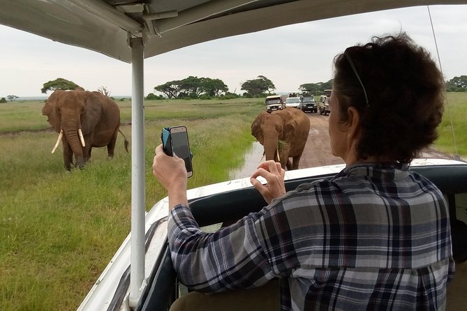 6 days guided safari: nairobi / lake nakuru / lake naivasha / masai mara n r - Masai Mara Reserve at sunset, then a full day for repeat sightings