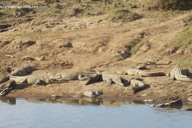 6 days guided safari: nairobi / lake nakuru / lake naivasha / masai mara n r - What you’ll be doing day by day, without the guessing