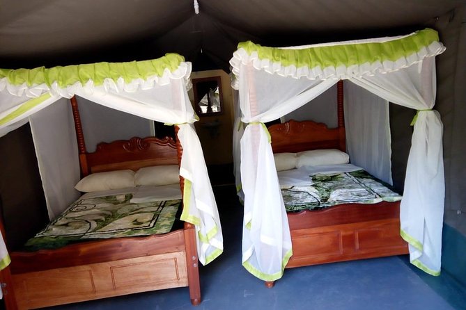 6 Days in Masai Mara- Lake Nakuru- Amboseli - Lake Nakuru National Park: Flamingos, Rhino Conservation, and an Optional Naivasha Side Trip