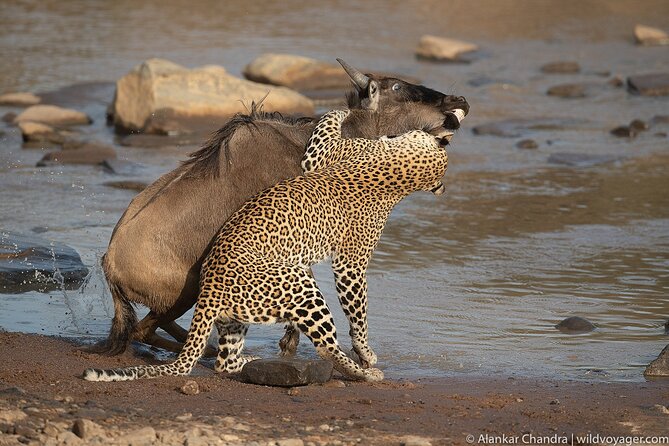 6 Days Kenya Adventure Wildlife Safari - Lake Naivasha: Birding and a Boat Session That Changes the Tempo