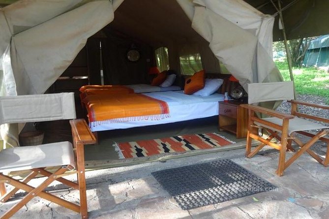 6 Days Maasai Mara/Nakuru/Amboseli Group Safari - Maasai Mara Days 1 and 2: Migration Drama and Big Five Chances