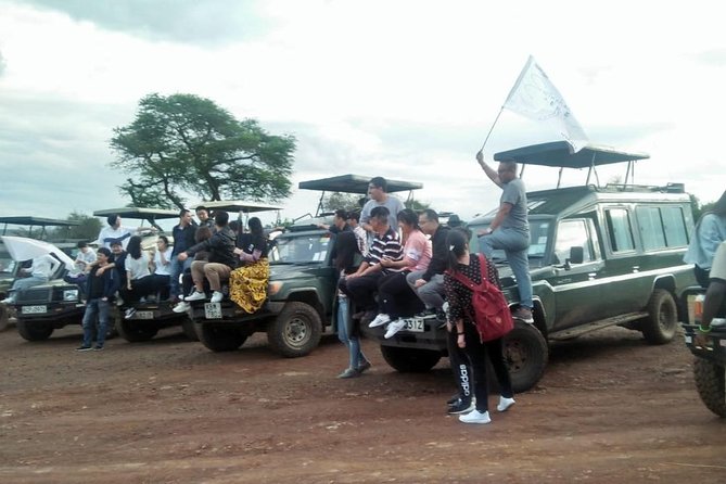 6 Days Maasai Mara/Nakuru/Amboseli Group Safari - Price and Logistics: Is $925.80 Good Value?