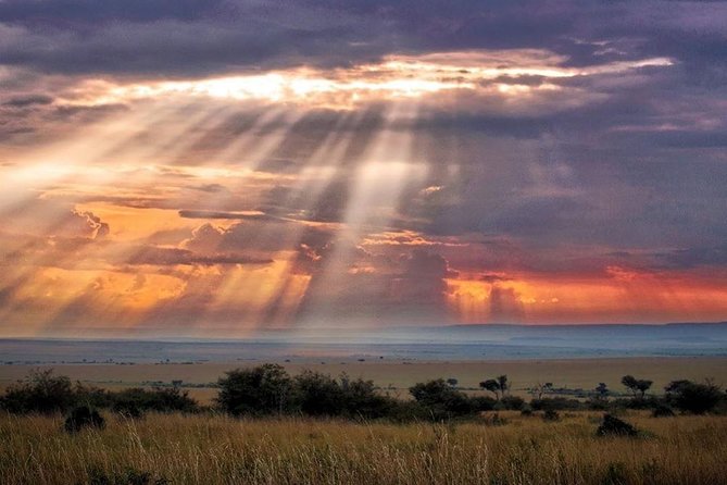 6 Days Maasai Mara/Nakuru/Amboseli Group Safari - Lake Nakuru Day 3: Flamingoes, White Rhinos, and Bird Life Worth Slowing Down For