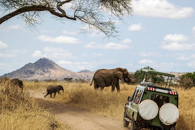 6 Days Masai Mara, Lake Nakuru and Amboseli Budget Group Safari - Lake Nakuru Day 3: flamingos, birds, and optional Maasai village time