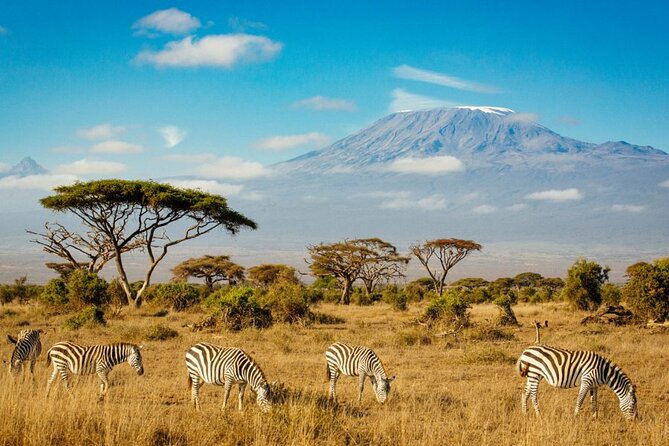 6 Days Masai Mara, Lake Nakuru and Amboseli Budget Group Safari - What makes this budget safari feel like value