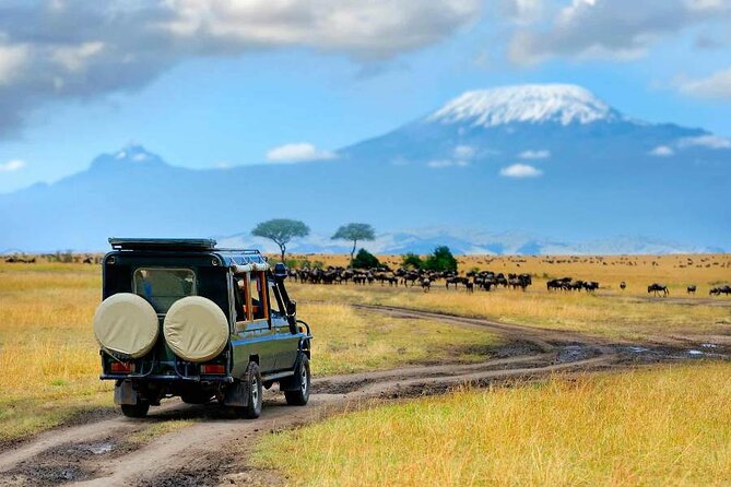 6 Days Masai Mara, Lake Nakuru and Amboseli Budget Group Safari - Day 2 Masai Mara: Big Five pursuit plus the migration story in real time