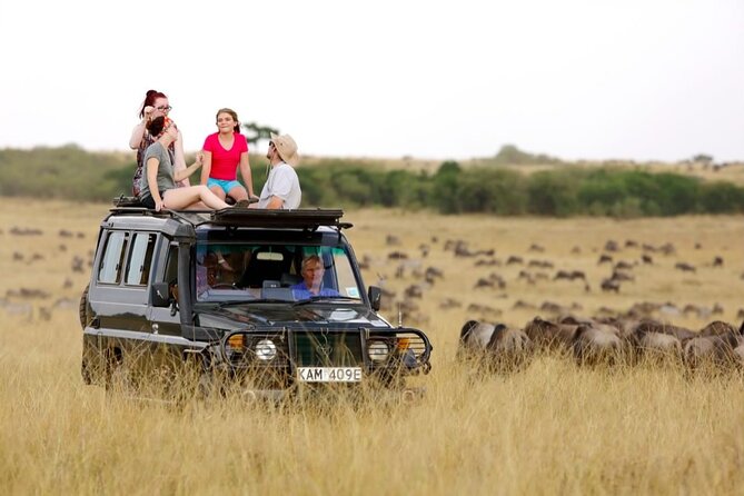 6-Days Masai Mara, Nakuru & Amboseli Group Safari on Landcruiser - Day 2 in Maasai Mara: full day for Big Five chances and optional culture