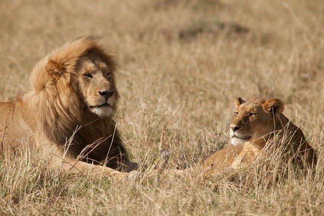 6 Days Masai Mara-Nakuru-Amboseli - Lodge Safari-Private 4X4 JEEP - Lake Nakuru: rhino conservation, plus flamingos for the bird lovers