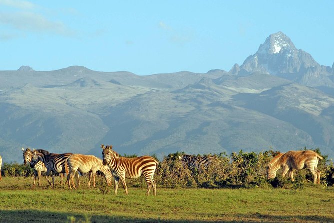 6 Days of Kenyan Wonders: Amboseli, Lake Nakuru, and Masai Mara - Masai Mara Day 5: full-day viewing and the Great Migration window