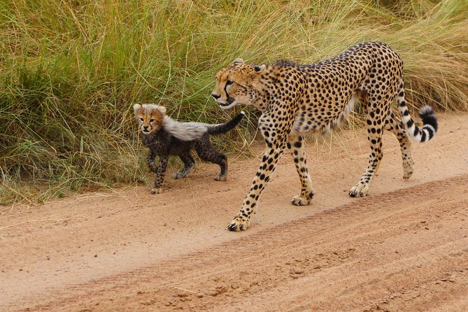 6 Days private safari package Kenya - Nairobi to Amboseli: the 7:00 am kickoff you’ll feel