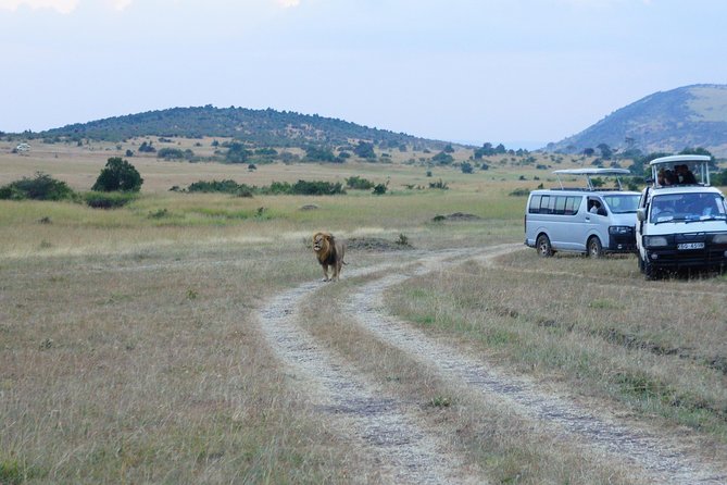 6 Days private safari package Kenya - What Amboseli can do for your wildlife checklist