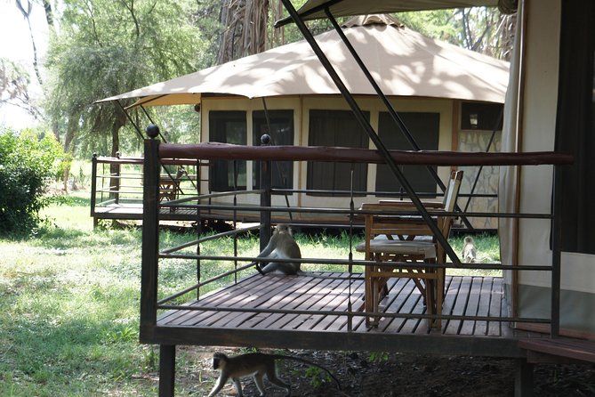 6 Days private safari package Kenya - Price check: is $4,916.54 per person good value?