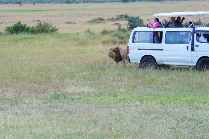 6 Days private safari package Kenya - Private safari, real-world group size