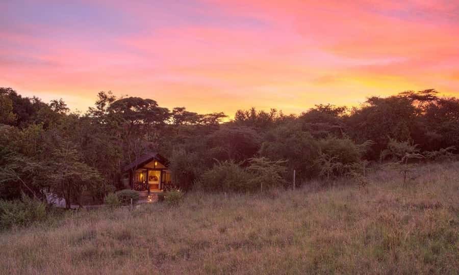6 Days Small Group Safari To Masai Mara, Nakuru And Amboseli - Why this Maasai Mara to Nakuru to Amboseli route works