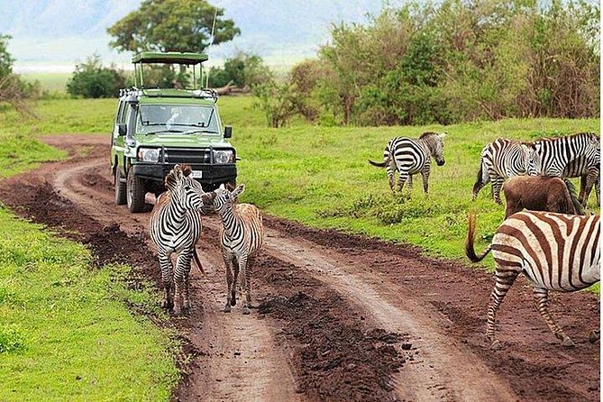 6Days Amboseli, Lake Nakuru and Masai Mara Camping Safari on Jeep - Camping comfort that is real enough, but not hotel-comfy