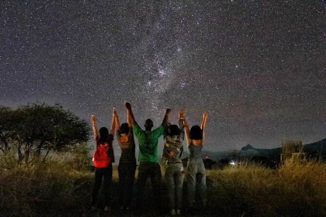 6days Masai mara-lake nakuru via Lake naivasha-Amboseli 4x4 jeep Safari - 4x4 Land Cruiser, timing, and comfort on a 6 day circuit