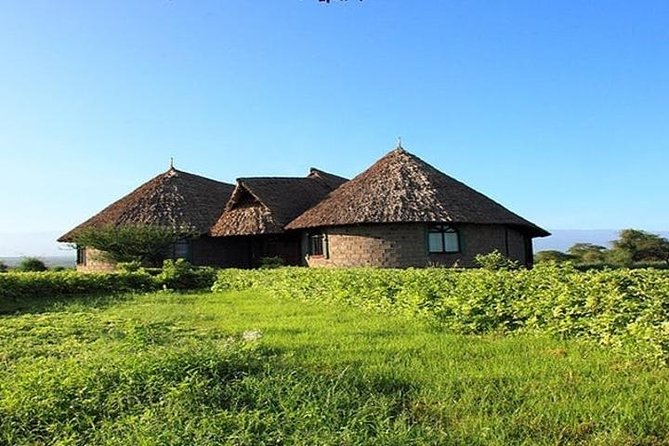 7 Day Maasai Mara, Lake Nakuru, Lake Naivasha and Amboseli Safari - Day 6 in Amboseli: full-day game drive with packed lunch and Kilimanjaro viewpoints