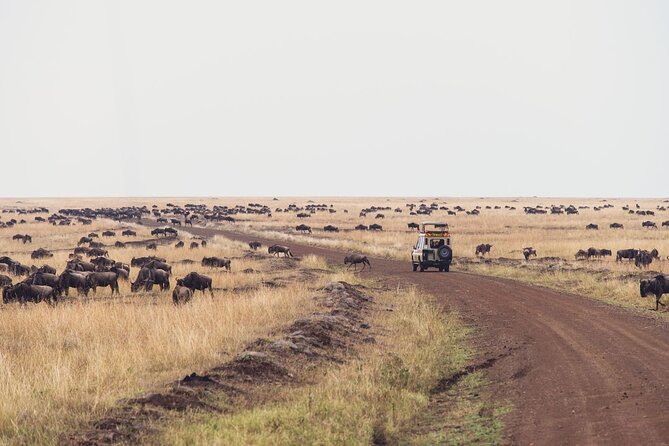 7 Day Private Jeep Safari, 5 star lodges with Balloon Ride Kenya - Day 6: Two Safari Mornings and a Full Day in Amboseli