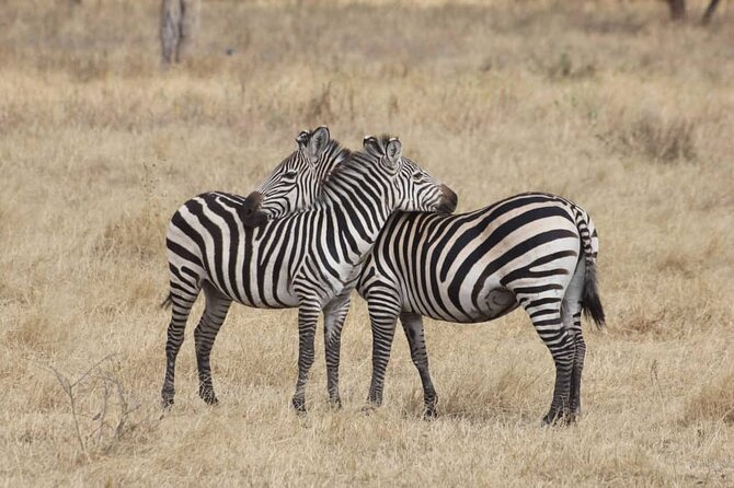 7-Day Private Safari to Amboseli National Park and Masai Mara - Masai Mara: Big Five chances plus flexibility for animal timing