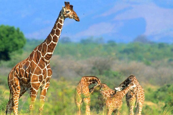 7-Day Private Tour in Kenya National Parks From Nairobi / Mombasa - Lake Naivasha plus Hell’s Gate, a change of pace that still stays wildlife-focused