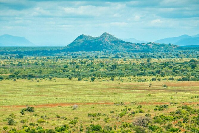 7-Day Private Tour in Kenya National Parks From Nairobi / Mombasa - Amboseli, where Mount Kilimanjaro frames your wildlife watching