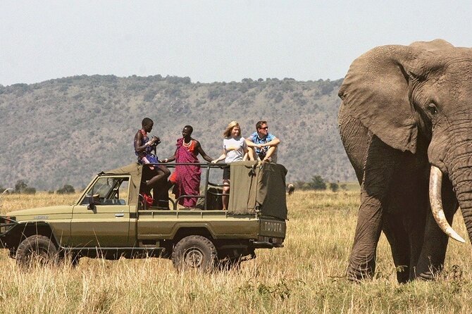 7-Day Private Tour in Kenya National Parks From Nairobi / Mombasa - Price and value, what $2,550 buys you in real terms