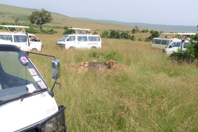7 Days Amboseli-Lake Naivasha-Lake Nakuru & Masai Mara - First morning in Nairobi: setting you up for safari time