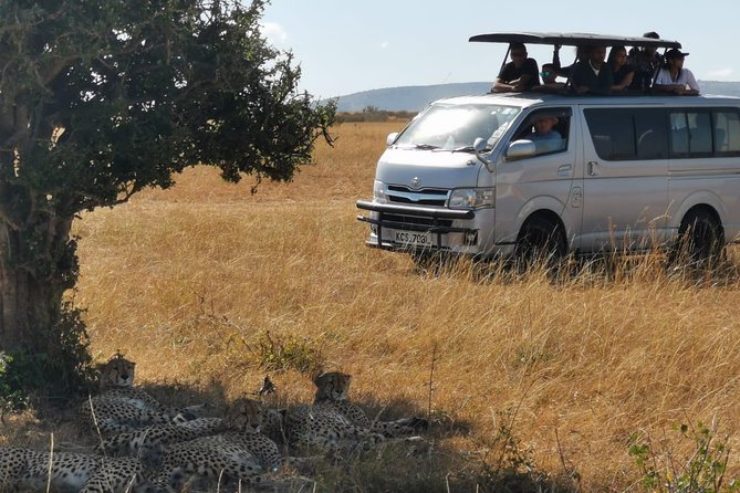 7 Days Amboseli, Naivasha, Maasai Mara and Lake Nakuru game parks - Day 7: Checkout, Cambrian Building Stop, and Ololaimutiek Culture Nearby