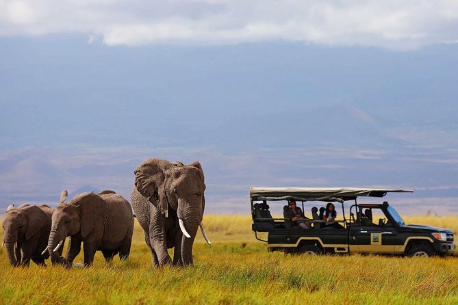 7 Days Breathtaking Kenya Wildlife Private Safari - Why this 7-day Kenya wildlife route hits the right notes