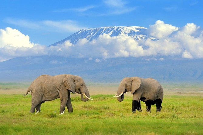7 Days Breathtaking Kenya Wildlife Private Safari - Day 4 at Lake Nakuru: Nyahururu Falls stop and a sunset-style drive