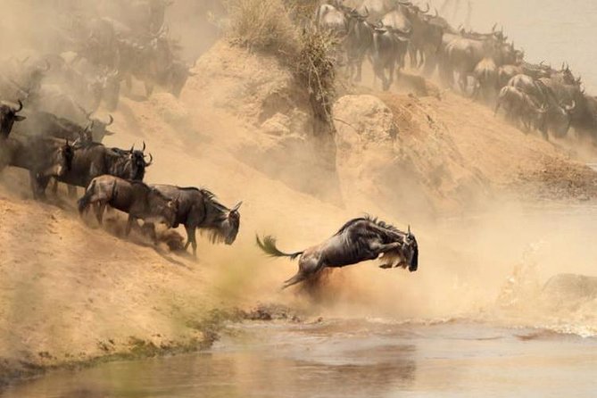 7 days Group Safari Masai Mara Lake Nakuru Hells gate & Amboseli - Naivasha at 7:00 am, plus a boat ride for birds and hippos
