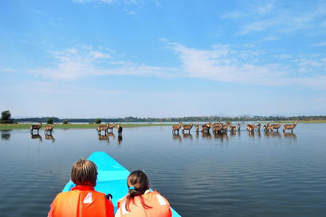 7 days Group Safari Masai Mara Lake Nakuru Hells gate & Amboseli - Amboseli day: elephants at Observation Hill, and a Kilimanjaro sighting chance
