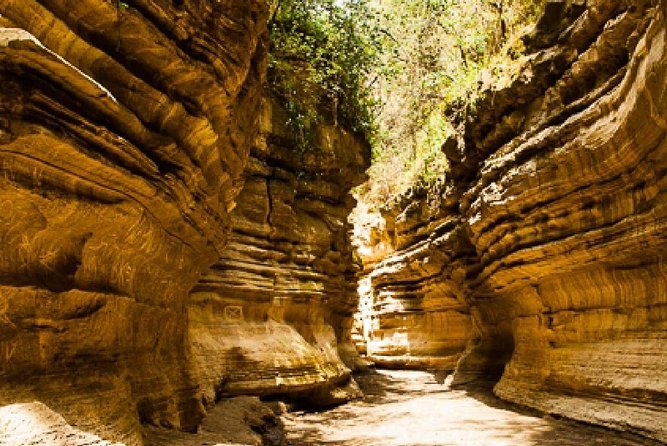 7 days Group Safari Masai Mara Lake Nakuru Hells gate & Amboseli - Price and logistics: where the value is really hiding