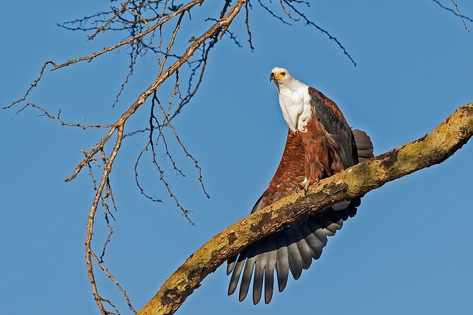 7-Days Kenya Safari Samburu, Aberdare, Lake Nakuru, & Maasai Mara - Guides, communication, and why names keep popping up