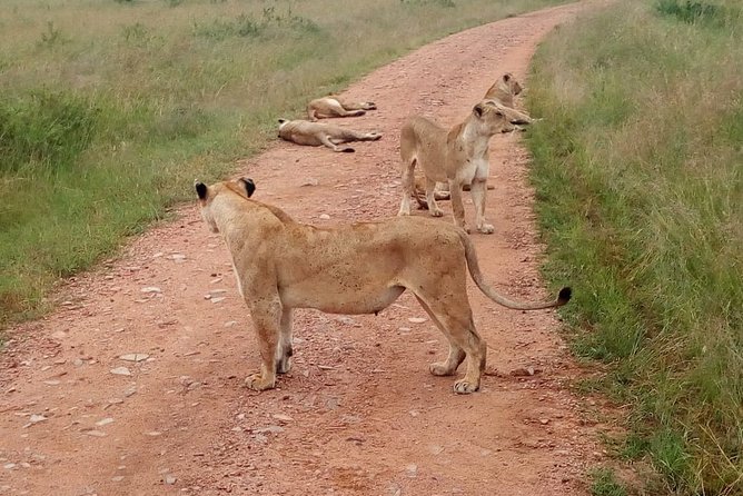 7 Days Maasai Mara, Lakes Nakuru, Naivasha & Amboseli Group Tour - Price and value: what $1,200 covers and what you still pay for