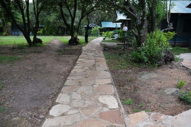 7 Days Mara/L.Naivasha/L.Nakuru/Amboseli - Why this Kenya safari route works