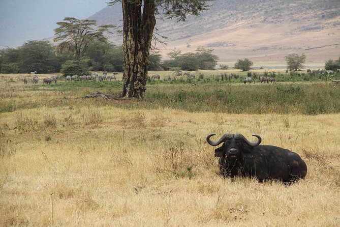 7 Days Mara/L.Naivasha/L.Nakuru/Amboseli - Day 4 to Lake Nakuru: Mt Longonot views on the road and afternoon settling in