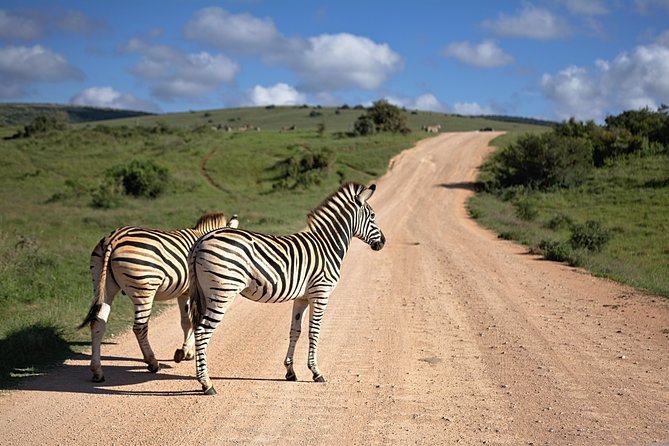 7 Days Mara/L.Naivasha/L.Nakuru/Amboseli - Day 1 to Maasai Mara: Rift Valley stops and your first evening game drive