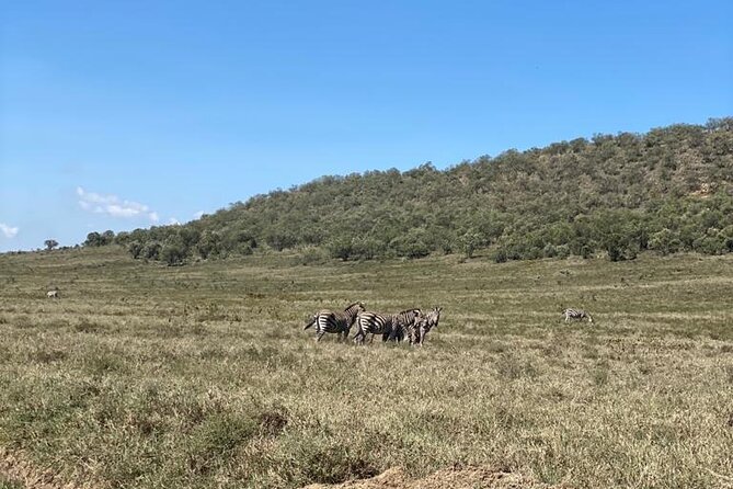 7 Days Private 4 star lodges Safari by LandCruiser from Nairobi - Who This Safari Is For (and Who Might Want a Different Plan)