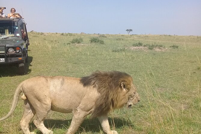 7 Days Private safari to 4 Star lodges using a Jeep - Key Highlights Worth Noting