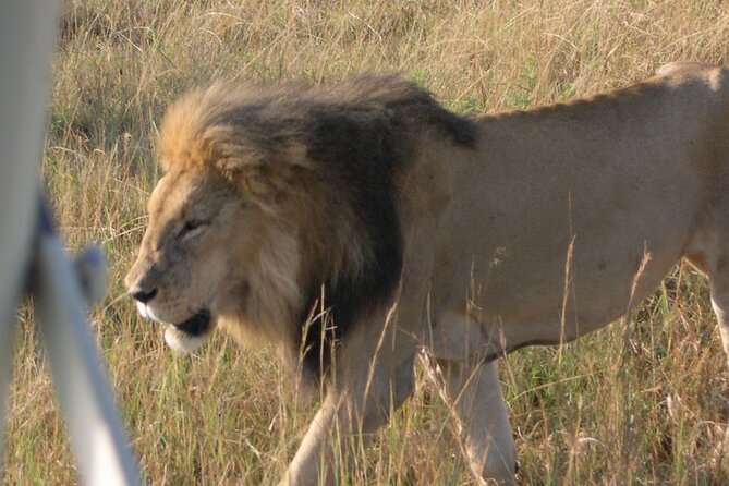 7 Days Private safari to 4 Star lodges using a Jeep - Nakuru and Beyond: Lake Nakuru Early Morning Rhinos, Then Hell’s Gate by Bike