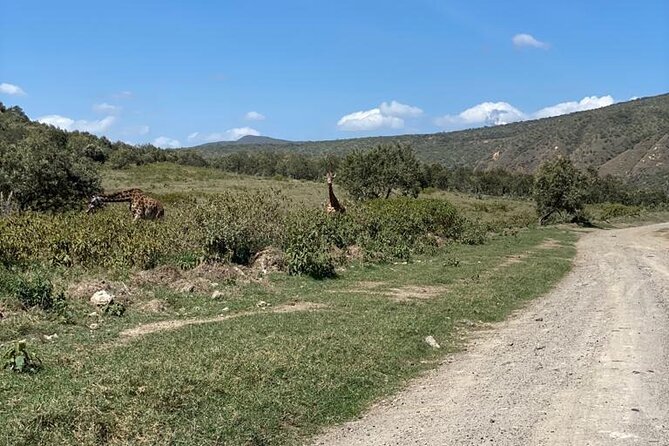 7 Days Private safari to 4 Star lodges using a Jeep - Lodging, Food, and the Comfort Level You Should Expect