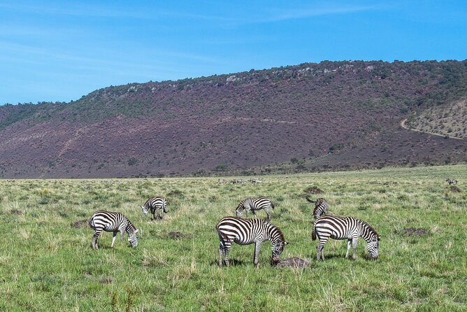 7 Days Safari to Maasai Mara, Nakuru, Naivasha and Amboseli - Lake Naivasha Day 4: Hell’s Gate biking, hippo viewing, and flamingo chances