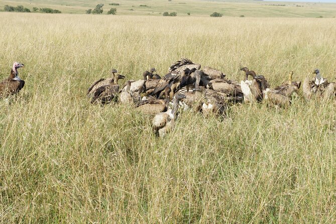 7 days Sopa lodges full private package - Day 3 in Naivasha and the Rift Valley: Boats, Hell’s Gate Walking or Cycling, then Nakuru
