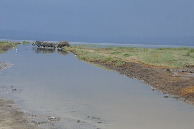 7 days Sopa lodges full private package - Day 7 Back to Nairobi: One Last Meal, Then Time to Fly