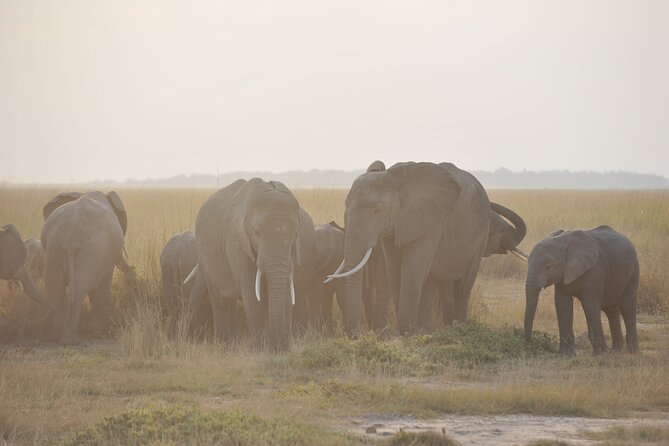 8 Days / 7 Nights 2021 / 2022 Wildebeest Migration Safari - Maasai Mara Reserve - Staying comfortable: meals, lodges, and what is really included