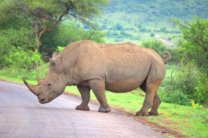 8 Days / 7 Nights 2021 / 2022 Wildebeest Migration Safari - Maasai Mara Reserve - Price and value: what you get for $2,128, and what you should budget