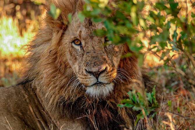 8 Days 7 Nights Kenyan Luxury Safari - The Human Side: Choosing Jemu Mwenda Expeditions and James’ Style