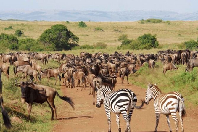 9 Day Private Luxury Spectacle Safari Majestic Kenya Wonderland - Private luxury safari rhythm, what it really means for you